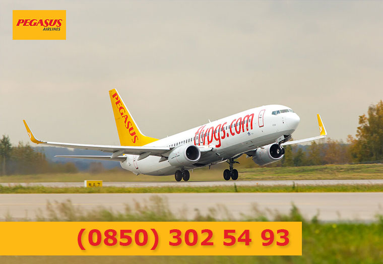 Pegasus Havayolları İletişim Hattı