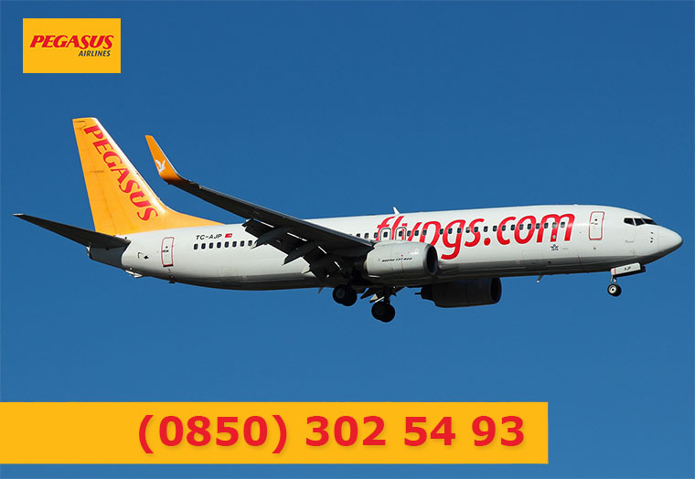 Pegasus İletişim