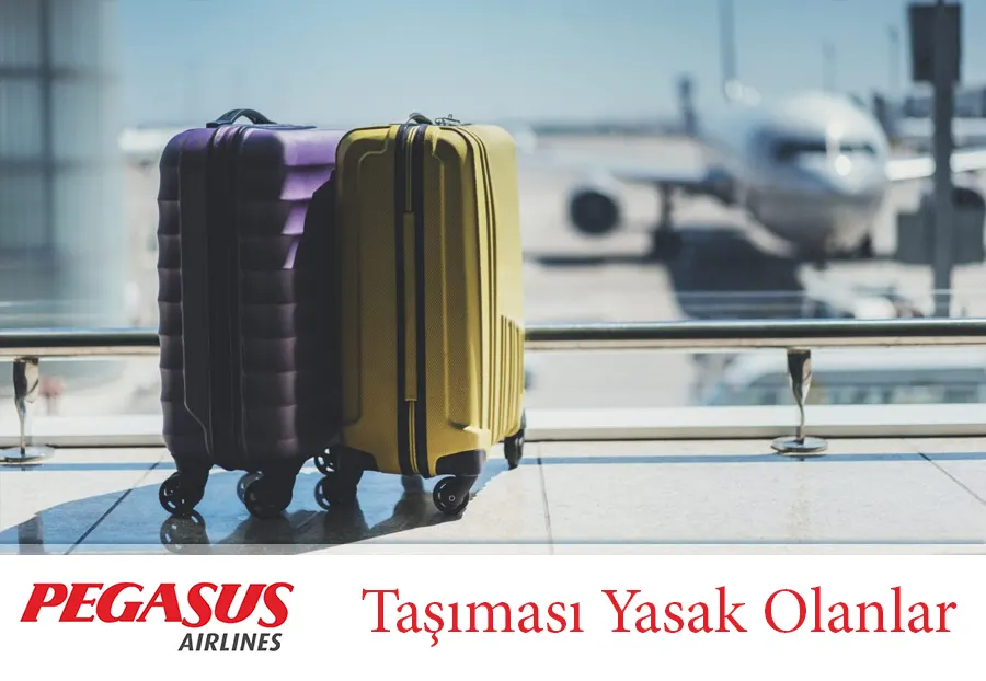Pegasus Bagaj Kuralları