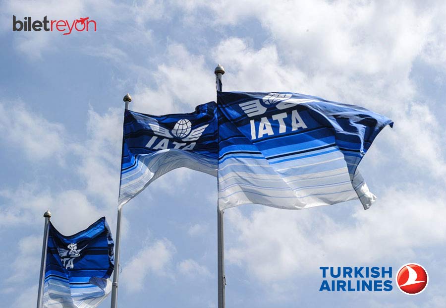 IATA nedir?